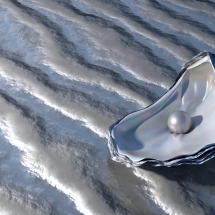 Oyster with Pearl An oyster containing a pearl on the shore waiting to be found. 3d Render.